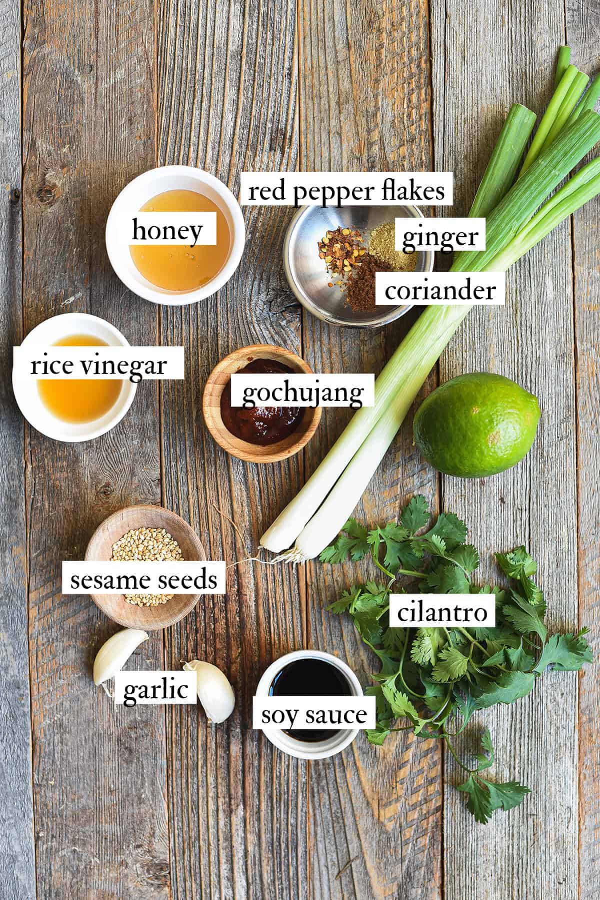 ingredients for Asian BBQ chicken skewers on wooden table