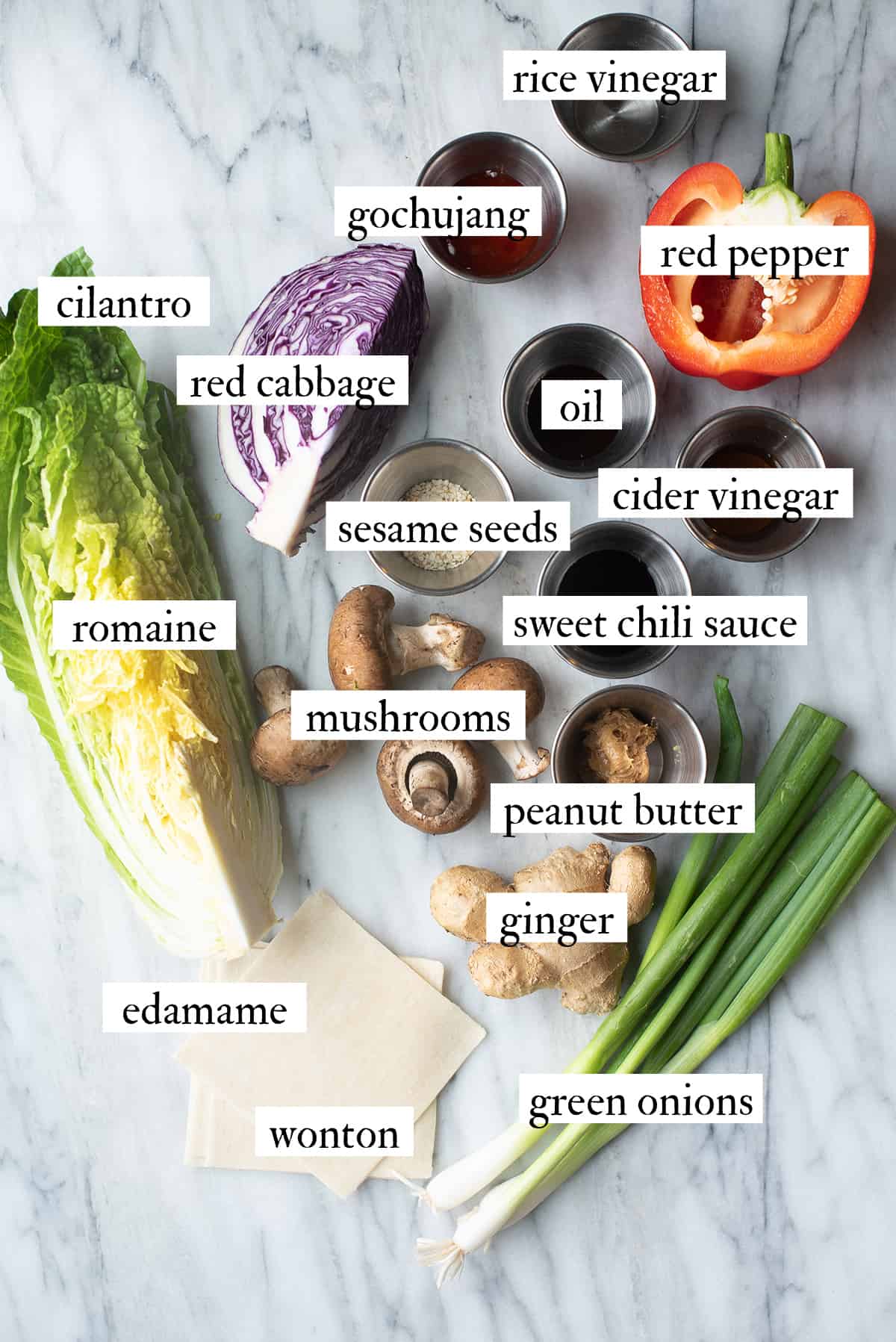 ingredients for Asian Salad on marble countertop